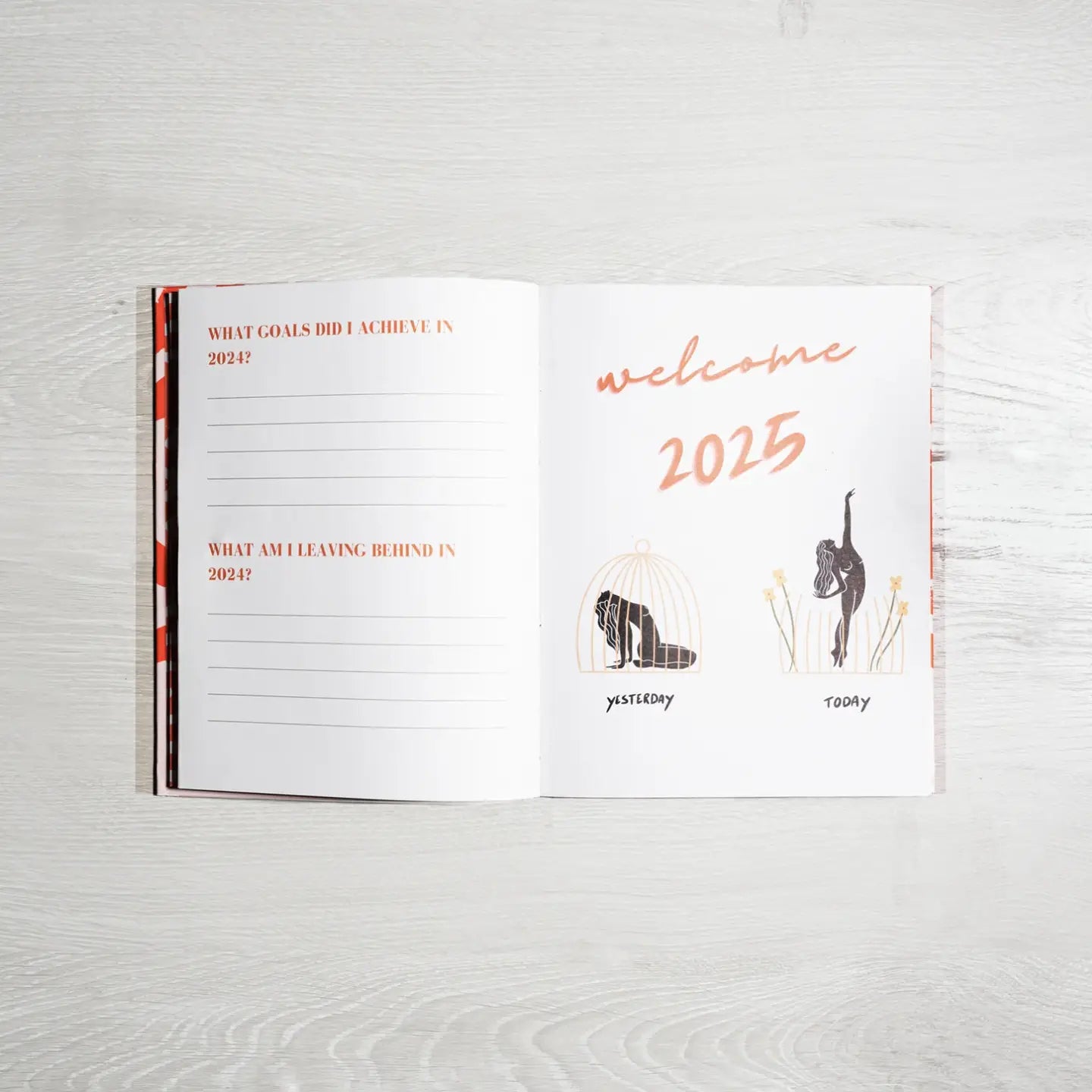 2025 Planner from Artist Danica Gim