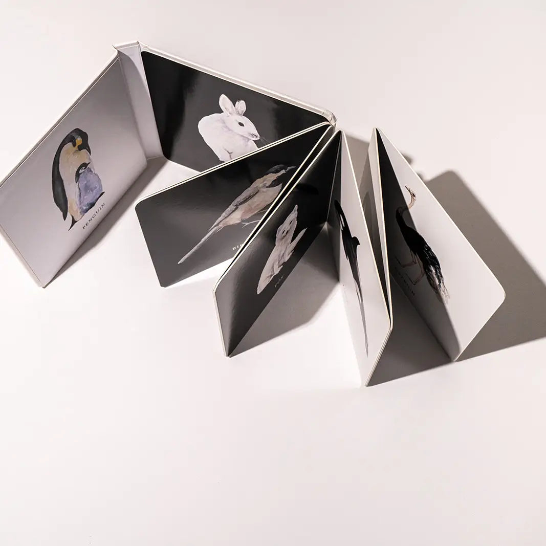 Baby'S Black and White Contrast Book