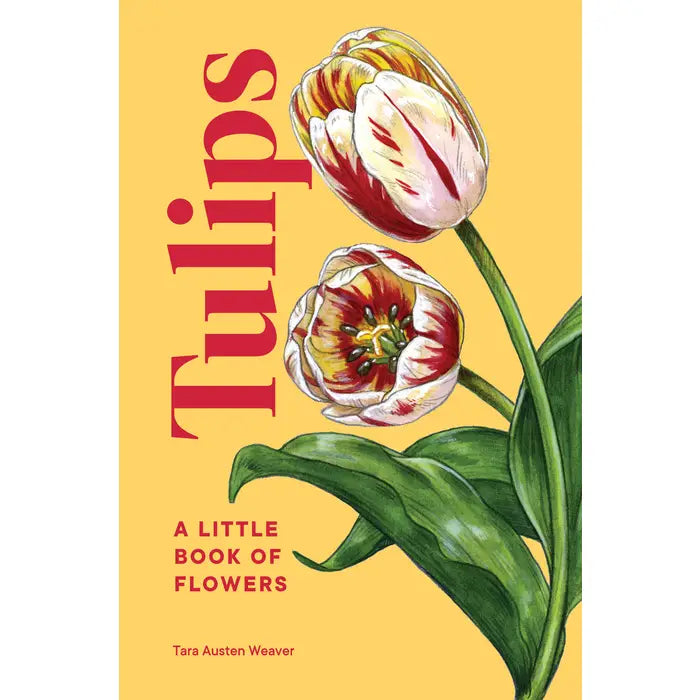 Tulips: Tara Austen