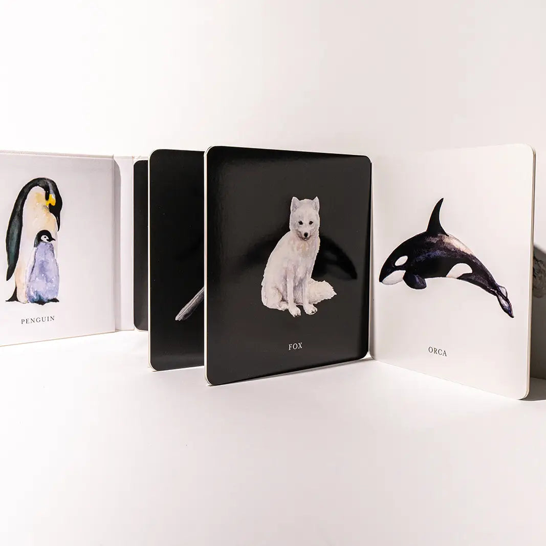 Baby'S Black and White Contrast Book