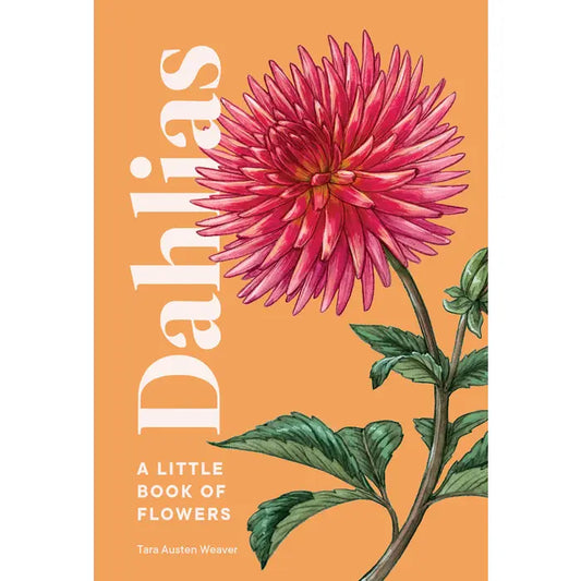 Dahlias: Tara Austen