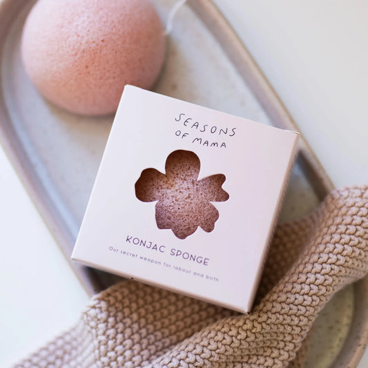 Konjac Sponge