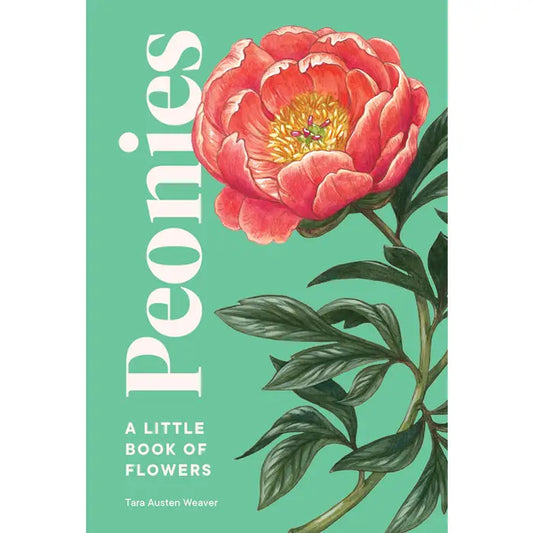 Peonies: Tara Austen