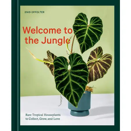 Welcome To the Jungle